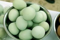 緑の卵