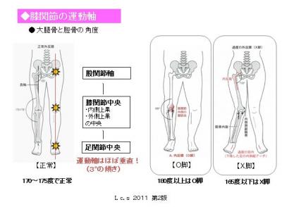 膝関節の運動軸