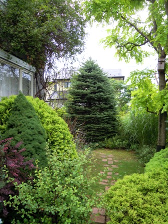 my-garden 031